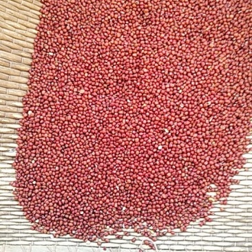 红豆薏米