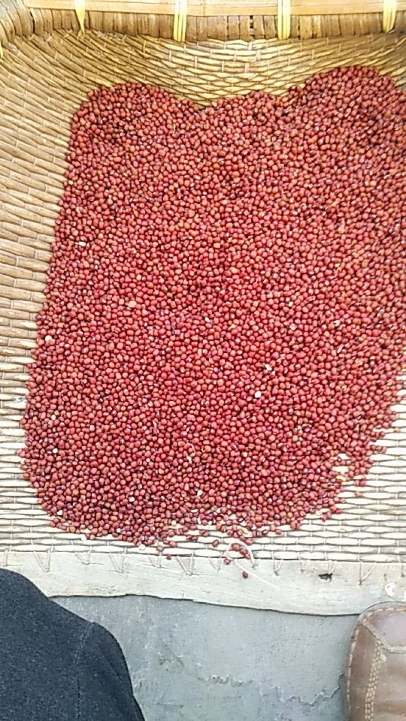 红豆薏米