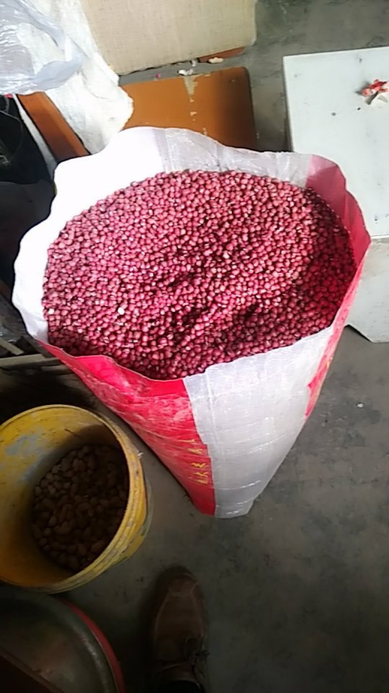 红豆薏米