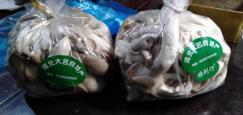 精品姬菇