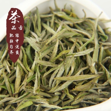 品舌2020年新茶明前黄山毛峰500g散茶