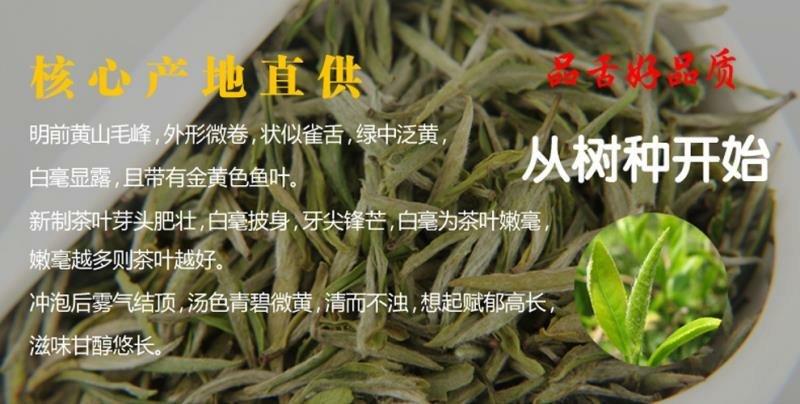 品舌2020年新茶明前黄山毛峰500g散茶