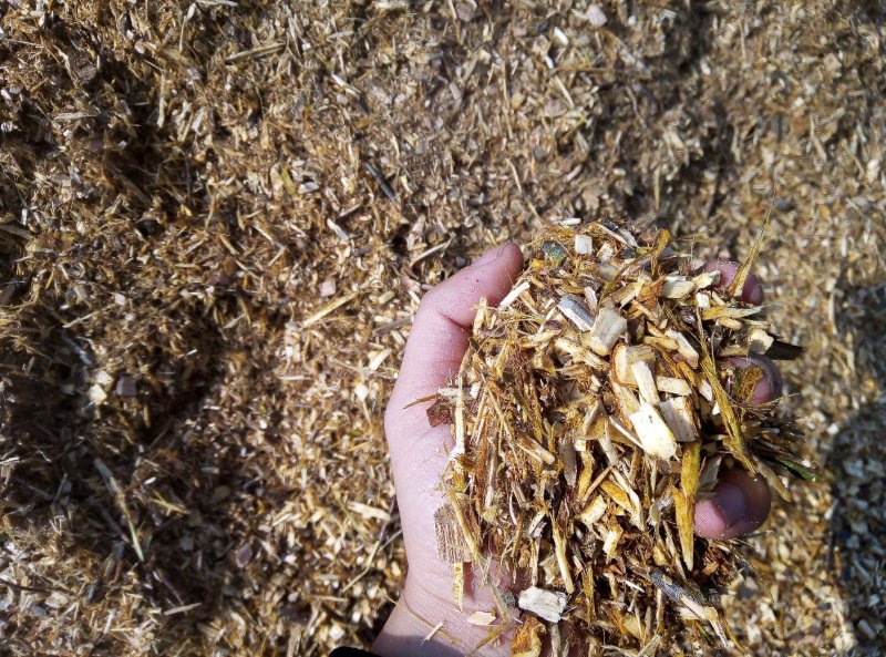 木屑，菌菇料，木炭料，造纸料，板材料。