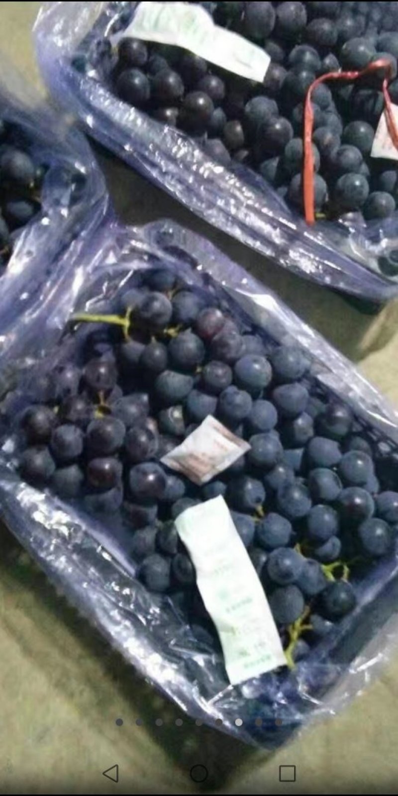 北镇冷库巨丰葡萄自然果巨峰葡萄价格便宜