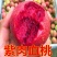 血桃,智利血桃,胭脂红血桃,紫肉血桃,脆甜,包品种