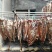 腊排骨腊排腊肉腊鸡腊鸭