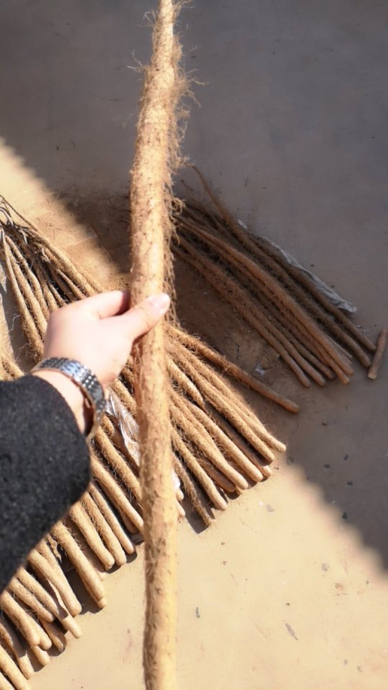 细毛山药，铁棍山药山东铁棍山药滞销，大甩卖，基地直销