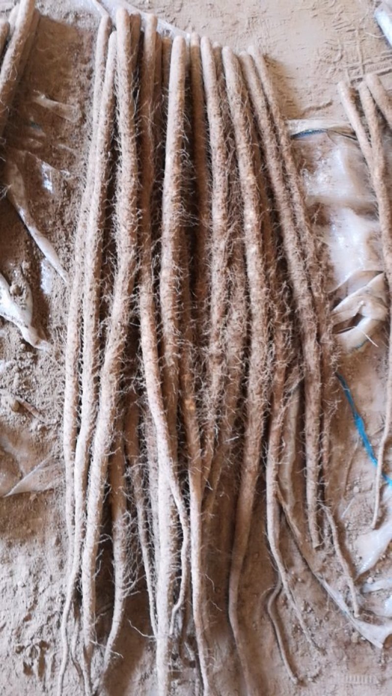 细毛山药，铁棍山药山东铁棍山药滞销，大甩卖，基地直销