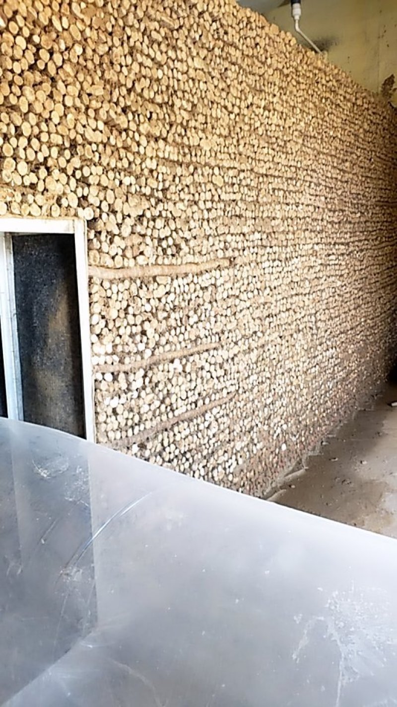 白玉山药