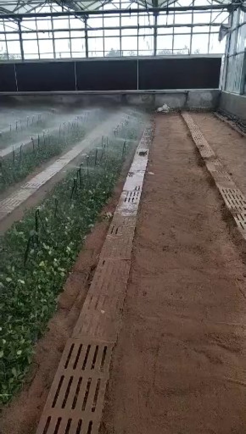 管道管件微喷头，立杆式微喷，吊挂式微喷厂家直销滴灌喷灌