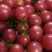 西兰花，水果黄瓜，