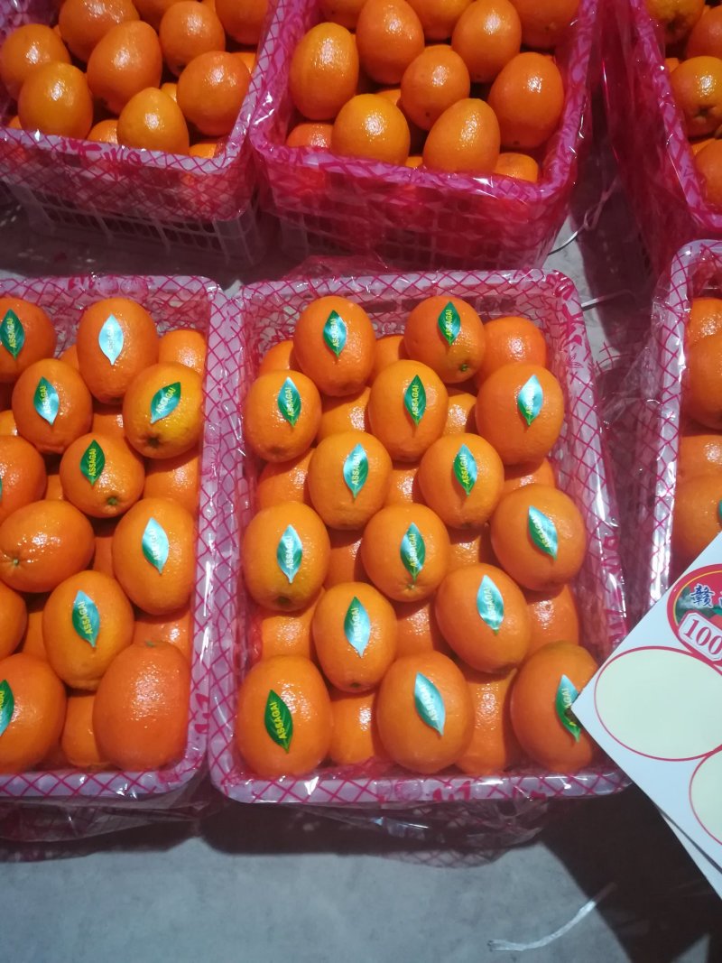 脐橙，圆虹长虹脐橙，纽荷尔脐橙看货采果大量供应，诚信经营