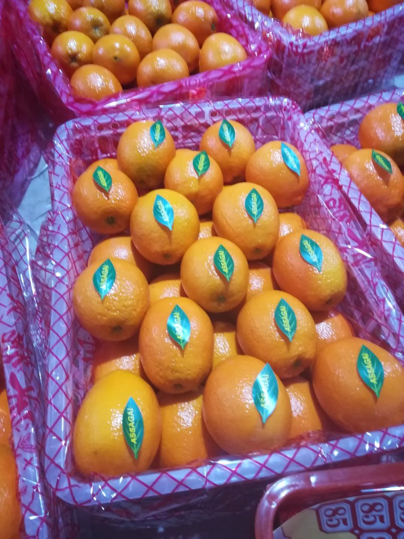 脐橙，圆虹长虹脐橙，纽荷尔脐橙看货采果大量供应，诚信经营
