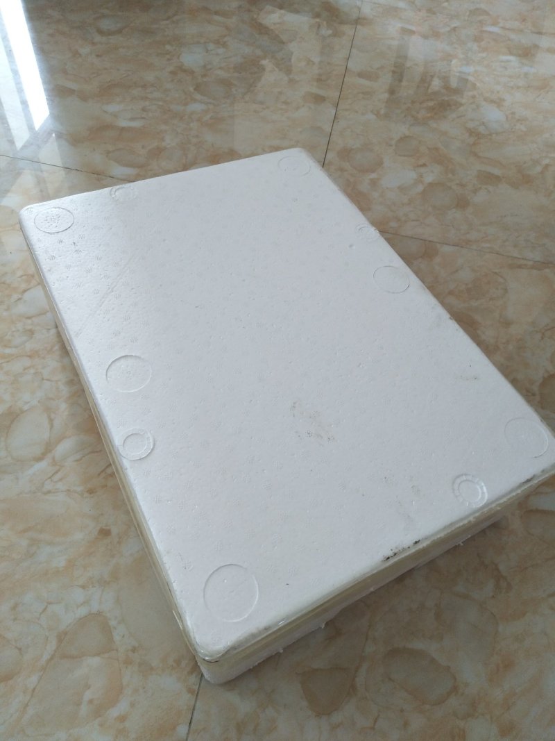 漂亮雪鱼