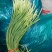 【精品批发】红帽蒜薹，代存代收代加工冷库直发实力配资