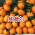 【橙子】脐橙纽荷尔长虹，品种齐全，一手货源