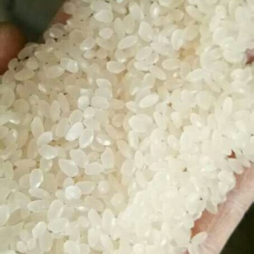 微山湖大米