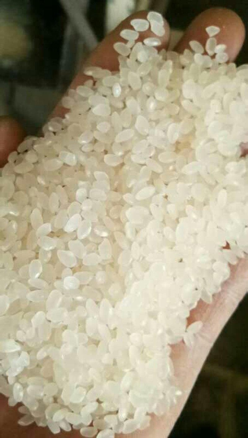 微山湖大米