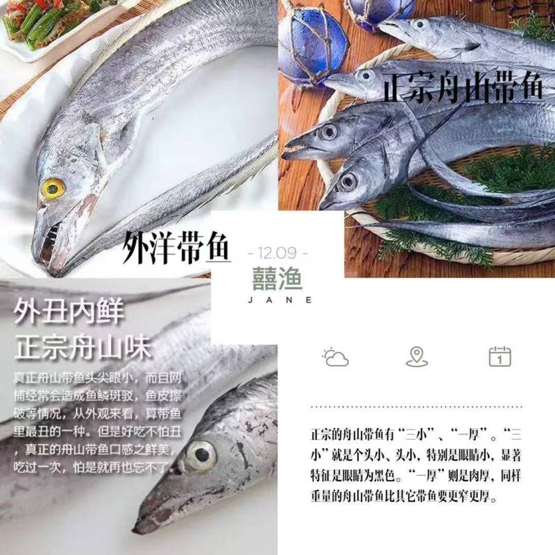 正宗舟山带鱼，一手货源加工厂