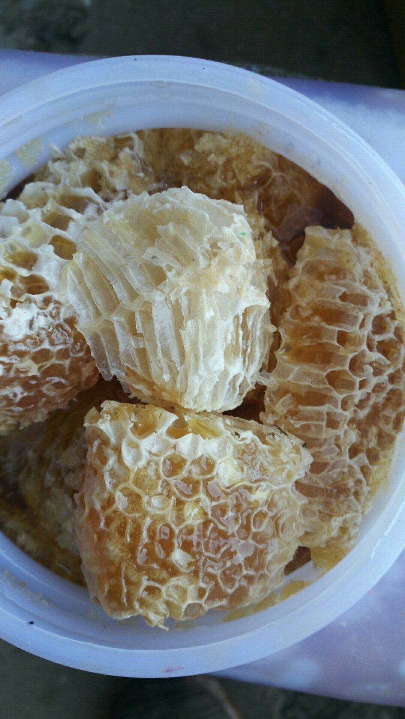一手货源供应和批发供应缅甸蜂巢蜜，假一赔十