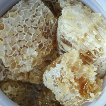 一手货源供应和批发供应缅甸蜂巢蜜，假一赔十