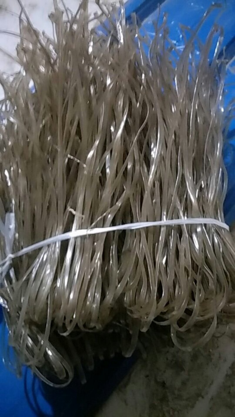 纯红薯粉条假一赔十