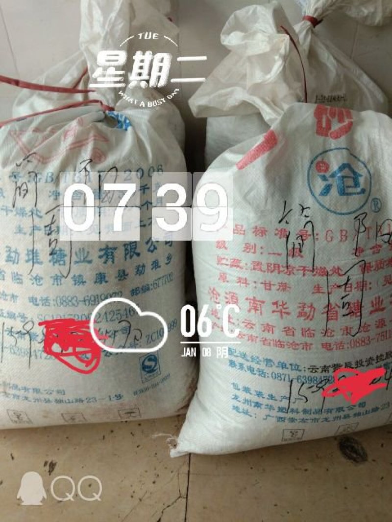 漂亮的红桔种子