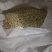 漂亮的红桔种子