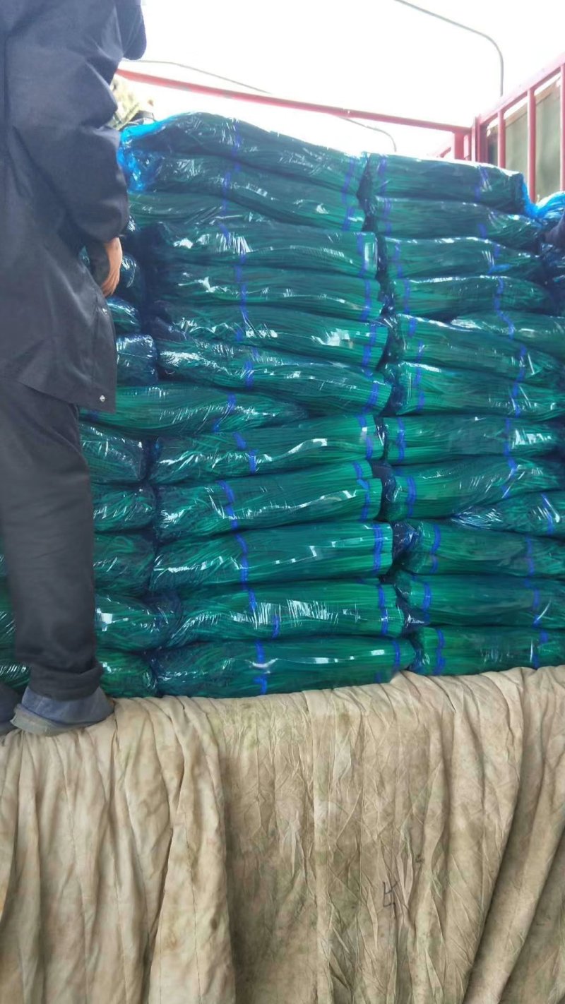 山东金乡红帽蒜薹！代发全国市场冷库出租！按需发货价优惠。
