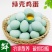 绿壳土鸡蛋种蛋，乌鸡蛋种蛋，月子蛋