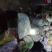云南野生何首乌大货供应每年冬季供应200吨以上统货选货