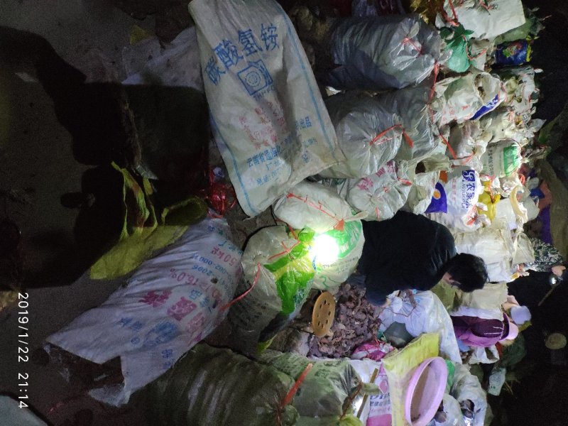 云南野生何首乌大货供应每年冬季供应200吨以上统货选货