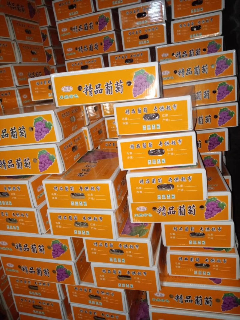 巨峰葡萄，头茬，二茬都有价格便宜。