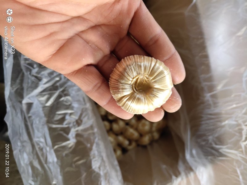 芝麻糖糖瓜
