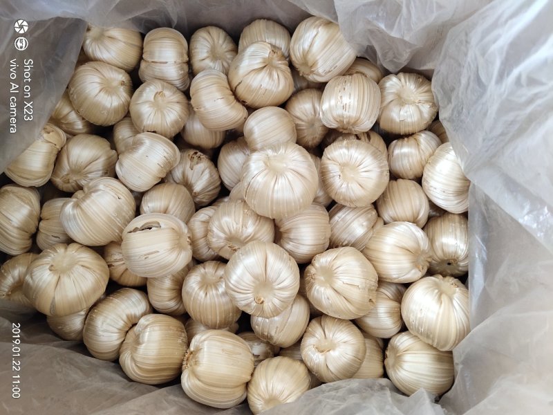 芝麻糖糖瓜