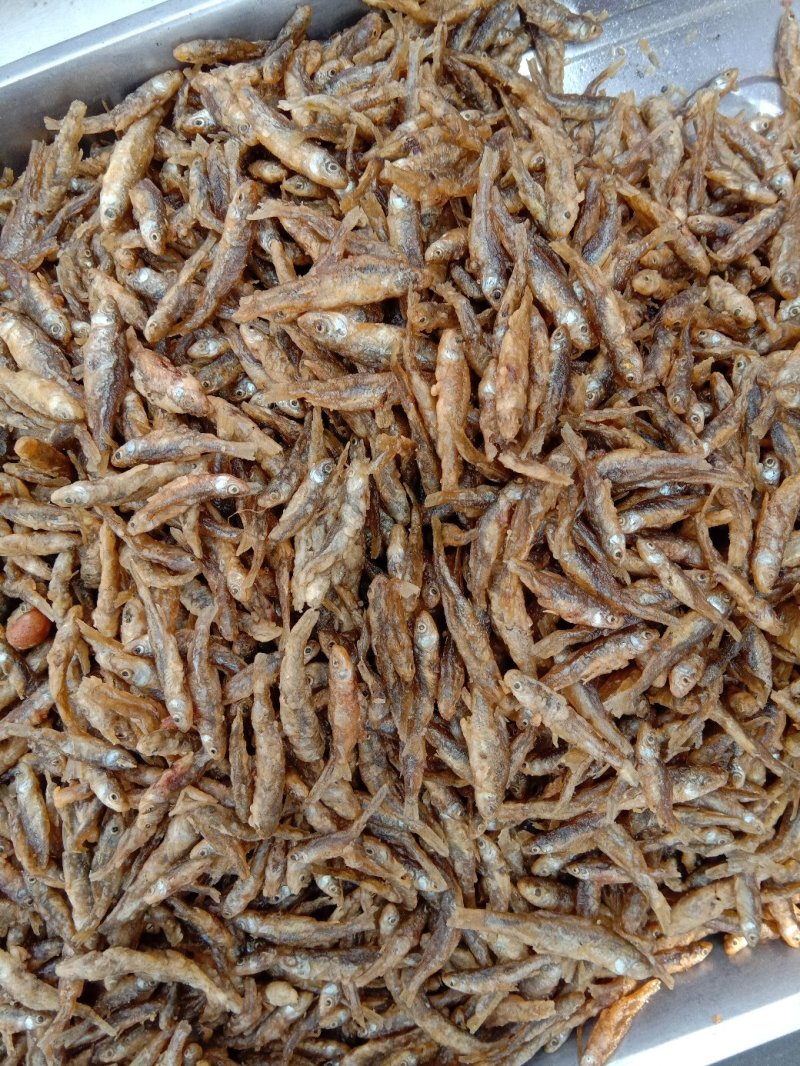 鱼干大沂河小鱼干锅烤鱼鱼仔，可视频看货