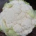 精品实花，散花菜，基地直供，保质保量，专业诚信代办！