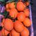 橙子长虹脐橙一手货源，个大色红口感甜，保质保量