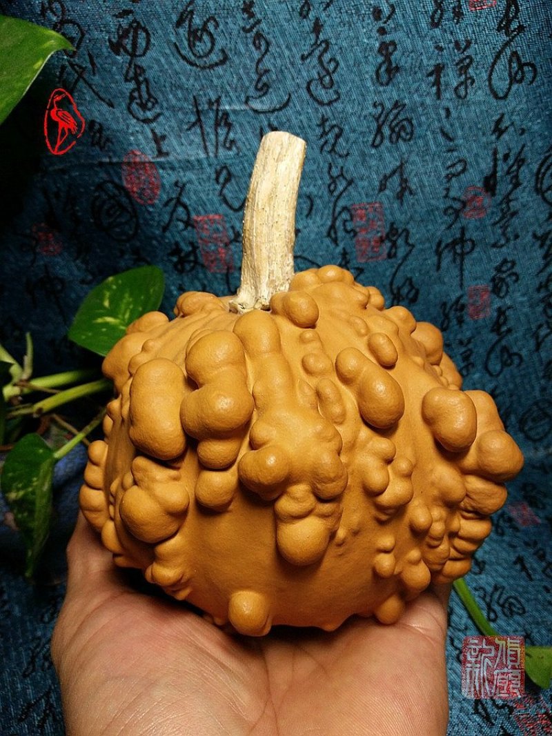供应各种文玩葫芦和葫芦种子