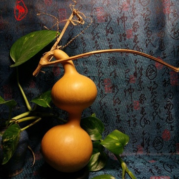 供应各种文玩葫芦和葫芦种子