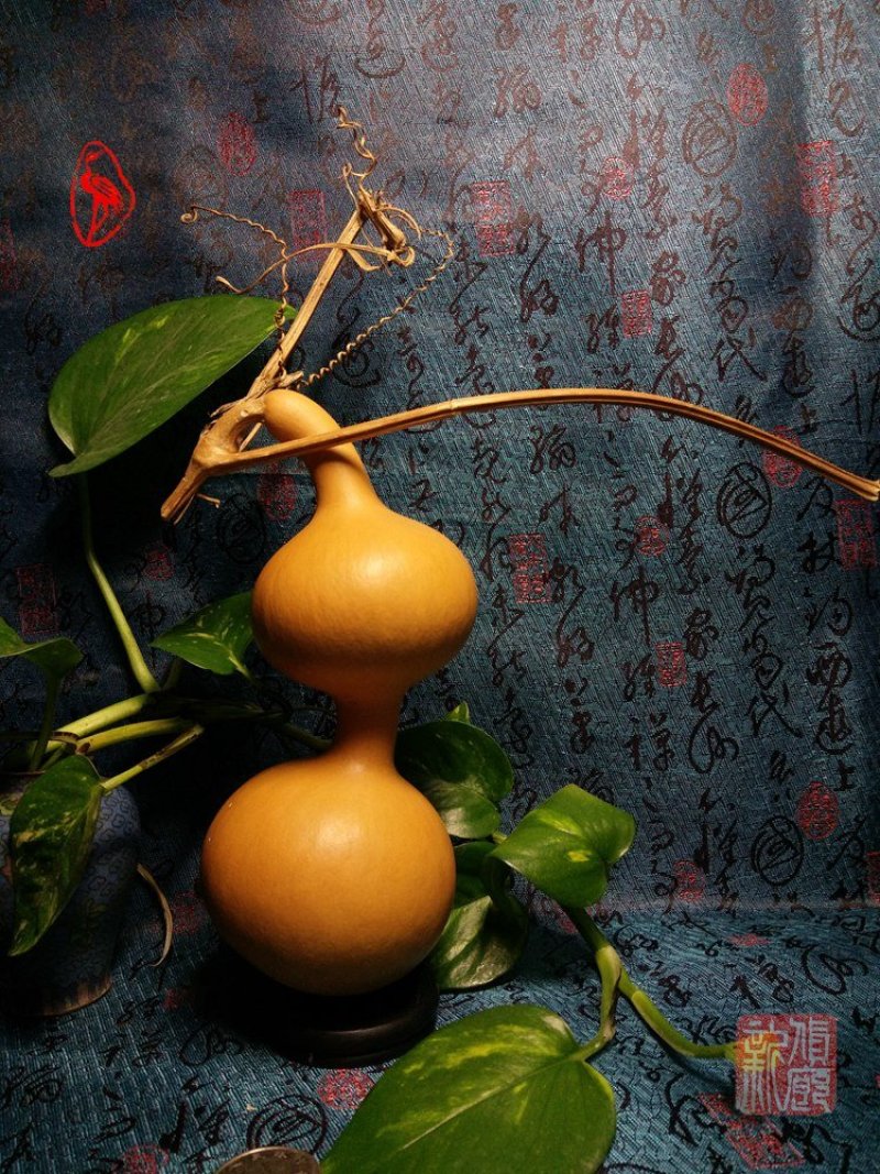 供应各种文玩葫芦和葫芦种子