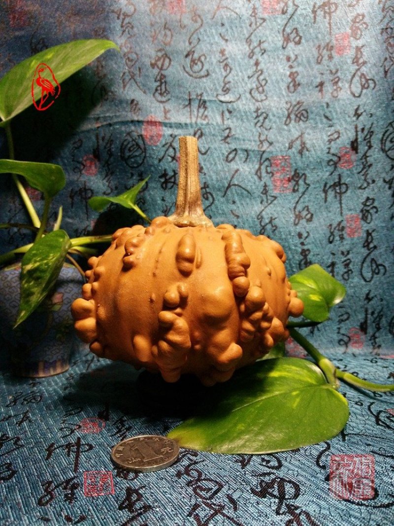 供应各种文玩葫芦和葫芦种子