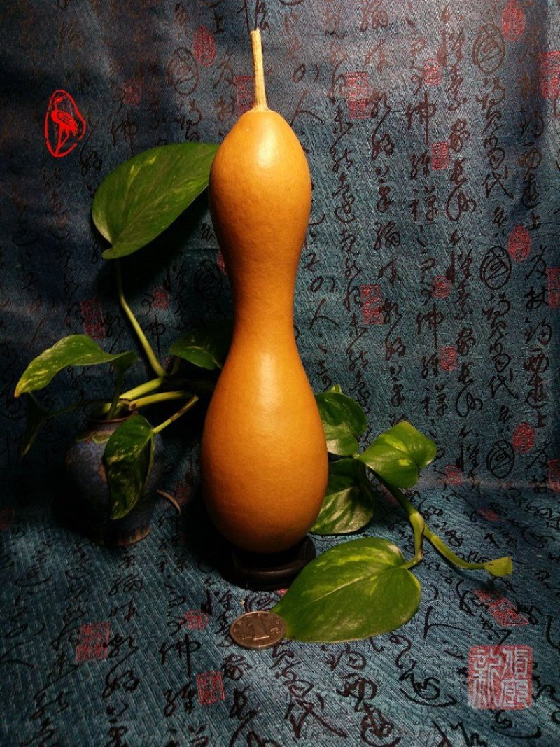 供应各种文玩葫芦和葫芦种子