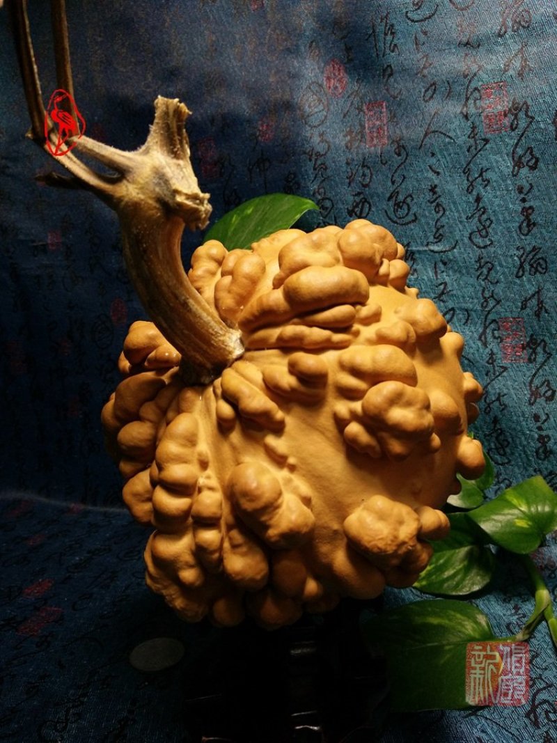 供应各种文玩葫芦和葫芦种子