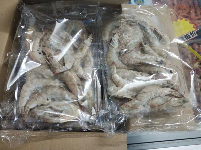 南美对虾
