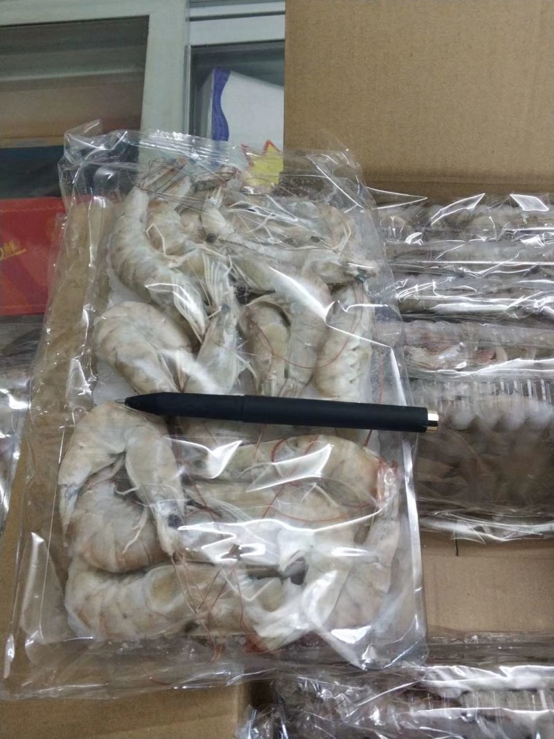 南美对虾