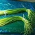 优质蒜薹大量出库，货源充足，质量保证货源充足