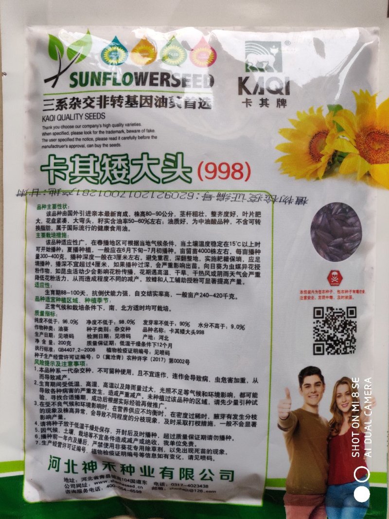 向日葵种子卡其矮大头998