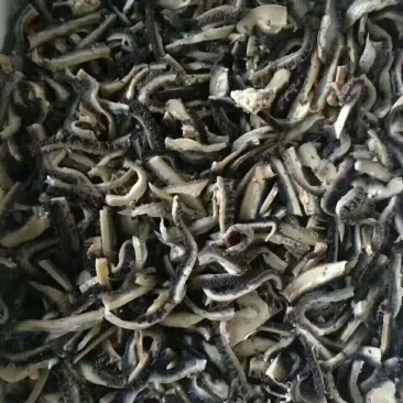 全熟牛肚丝