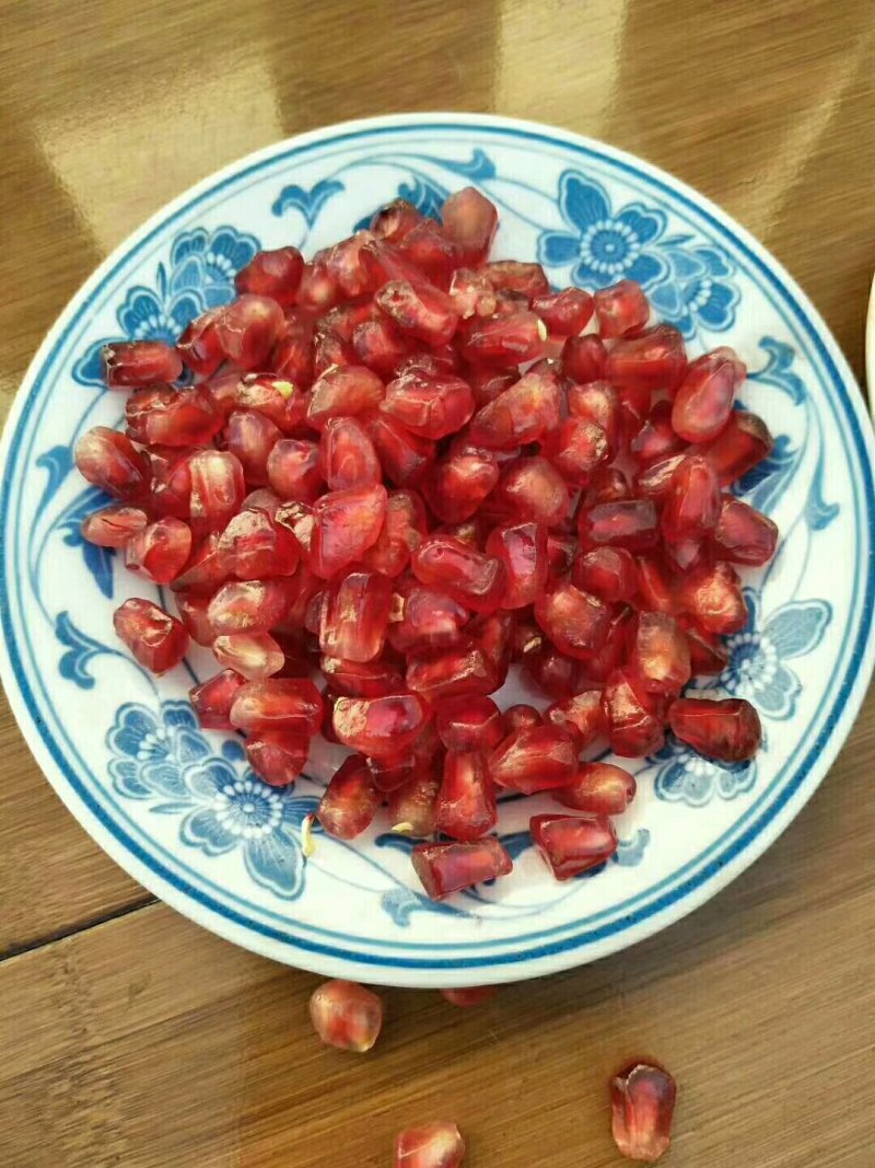石榴苗一年三年结果嫁接品种耐贫瘠保湿发货